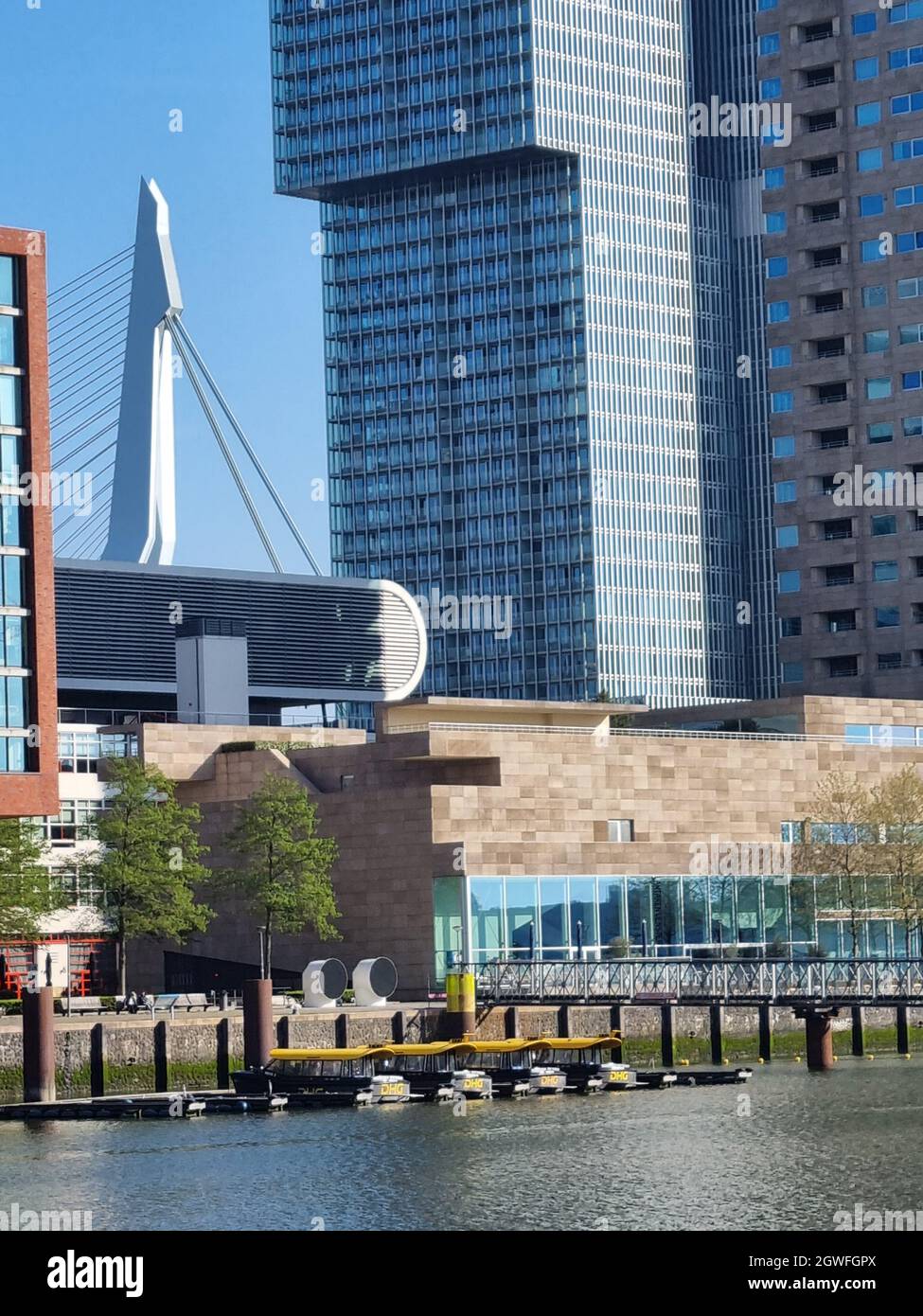 Moderno skyline di Rotterdam, Paesi Bassi Foto Stock