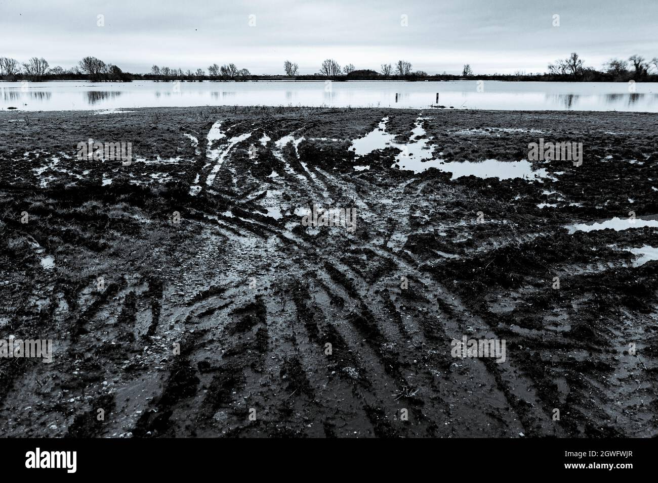 Le piste per pneumatici nel fango fanno dei modelli croccanti - il fiume allagato Great Ouse sullo sfondo Foto Stock