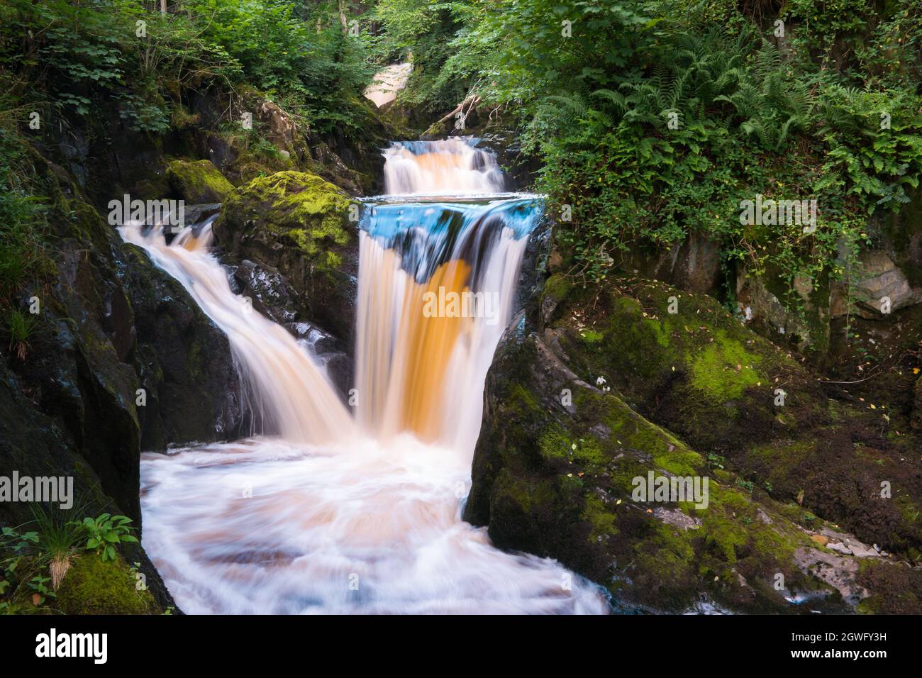 Cascate di Pecca sul fiume Twiss nel percorso Ingleton Waterfalls Trail, Yorkshire Dales Foto Stock