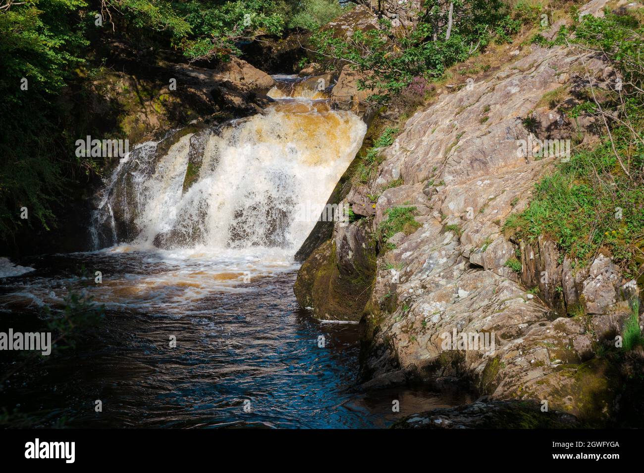 Beezley Falls sul fiume Doe nel percorso Ingleton Waterfalls Trail nello Yorkshire Dales National Park Foto Stock