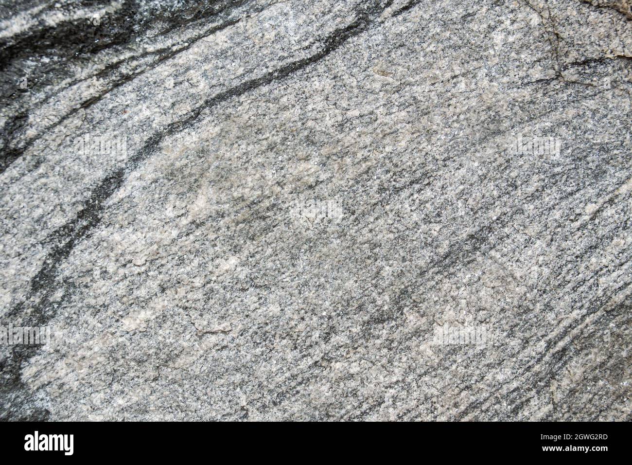 Struttura naturale non trattata di granito grigio primo piano. Sfondo astratto, texture, pattern, sfondo. Foto Stock