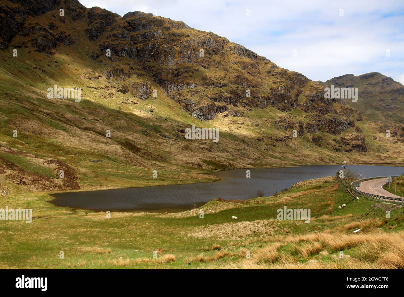 Paesaggio scozzese nel parco della foresta di Argyll delle Highlands, Scozia Foto Stock