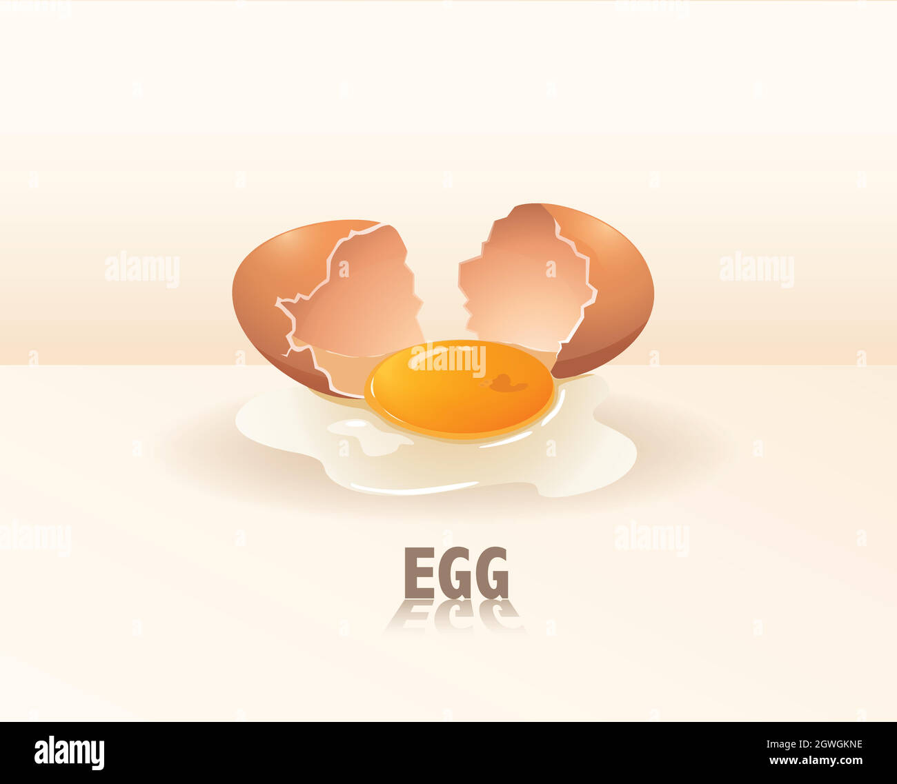 Tuorlo d'uovo Illustrazione Vettoriale