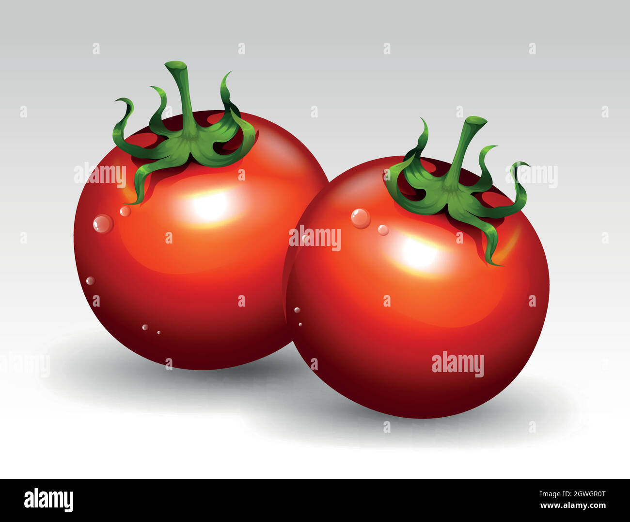 Pomodoro rosso su sfondo bianco Illustrazione Vettoriale