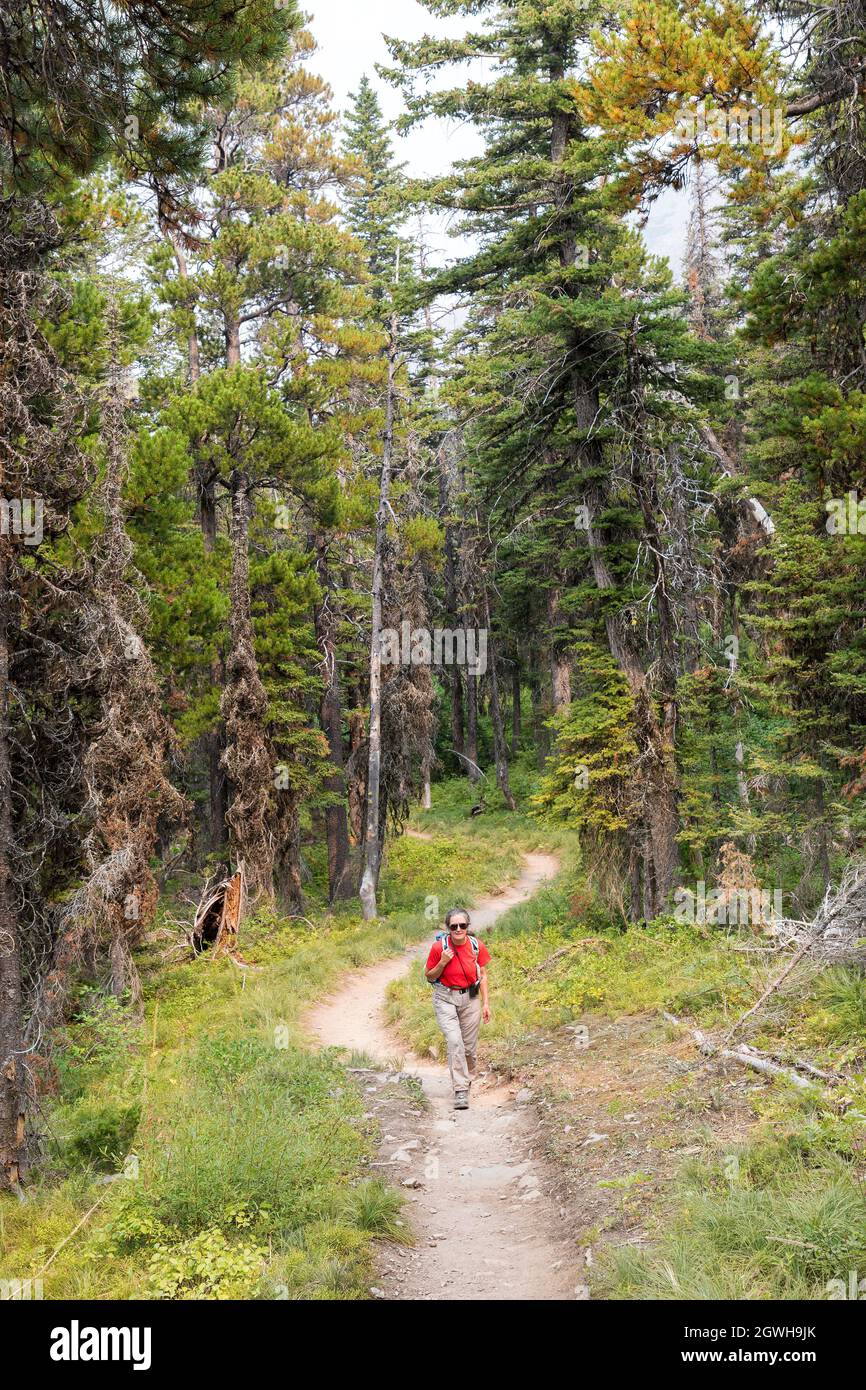 Donna che fa escursioni al South Shore Trail, Glacier National Park, Montana, USA Foto Stock
