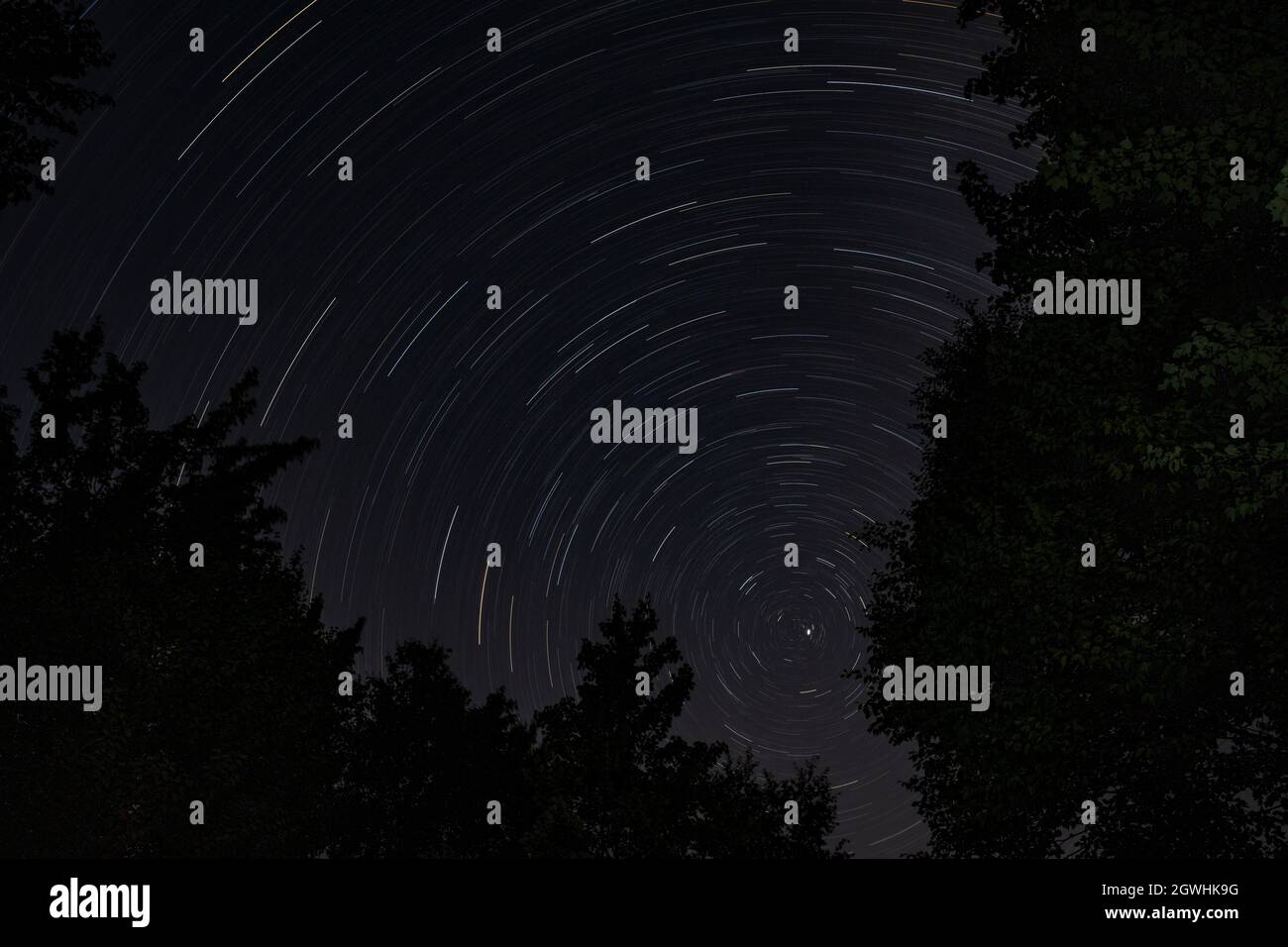 Percorsi stellari sulla foresta di notte in Canada Foto Stock