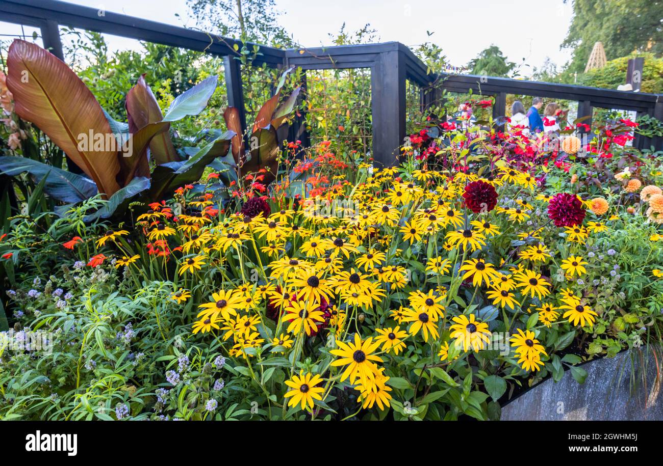 RHS COP26 Garden for Protecting biodiversità and Climate change, al RHS Chelsea Flower Show, Royal Hospital Chelsea, London SW3, settembre 2021 Foto Stock