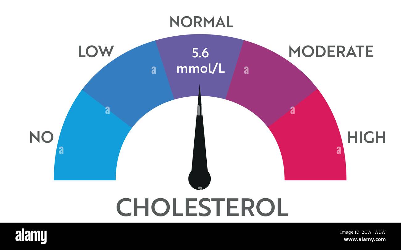 Indicatore del livello di colesterolo. Tachimetro medico. Presentazione del concetto di controllo della chat Illustrazione Vettoriale