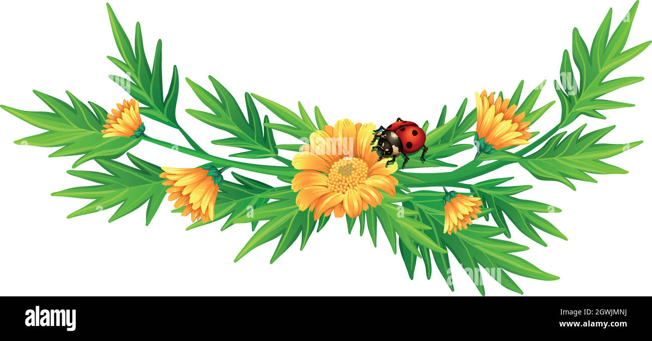 Fiori gialli e ladybug Illustrazione Vettoriale