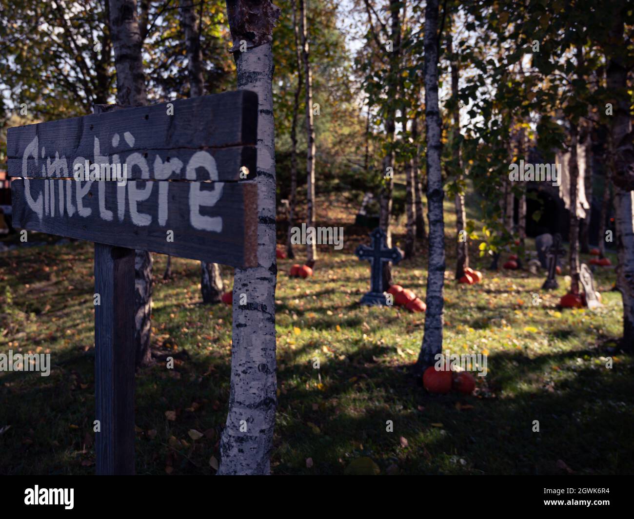Zucche nella foresta. Cimitero in francese. Halloween e la vendemmia autunnale. Stagione e sfondo. Foto Stock