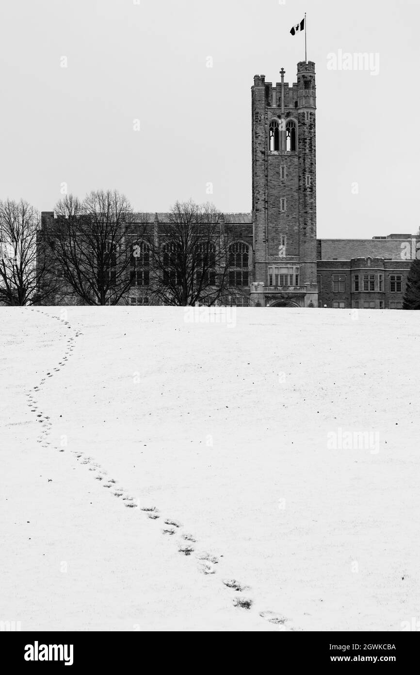 Western University in inverno Foto Stock