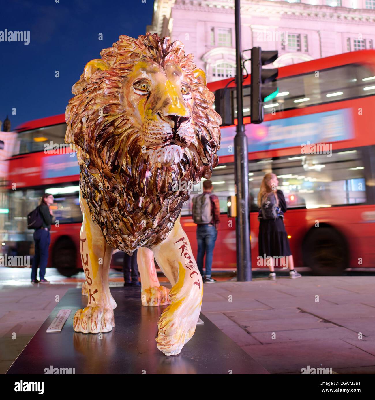 Londra, Grande Londra, Inghilterra, settembre 21 2021: Tusk Lion Trail statue di leoni di notte in Piccadilly Circus, questa statua è chiamata non mentendo Leone b Foto Stock