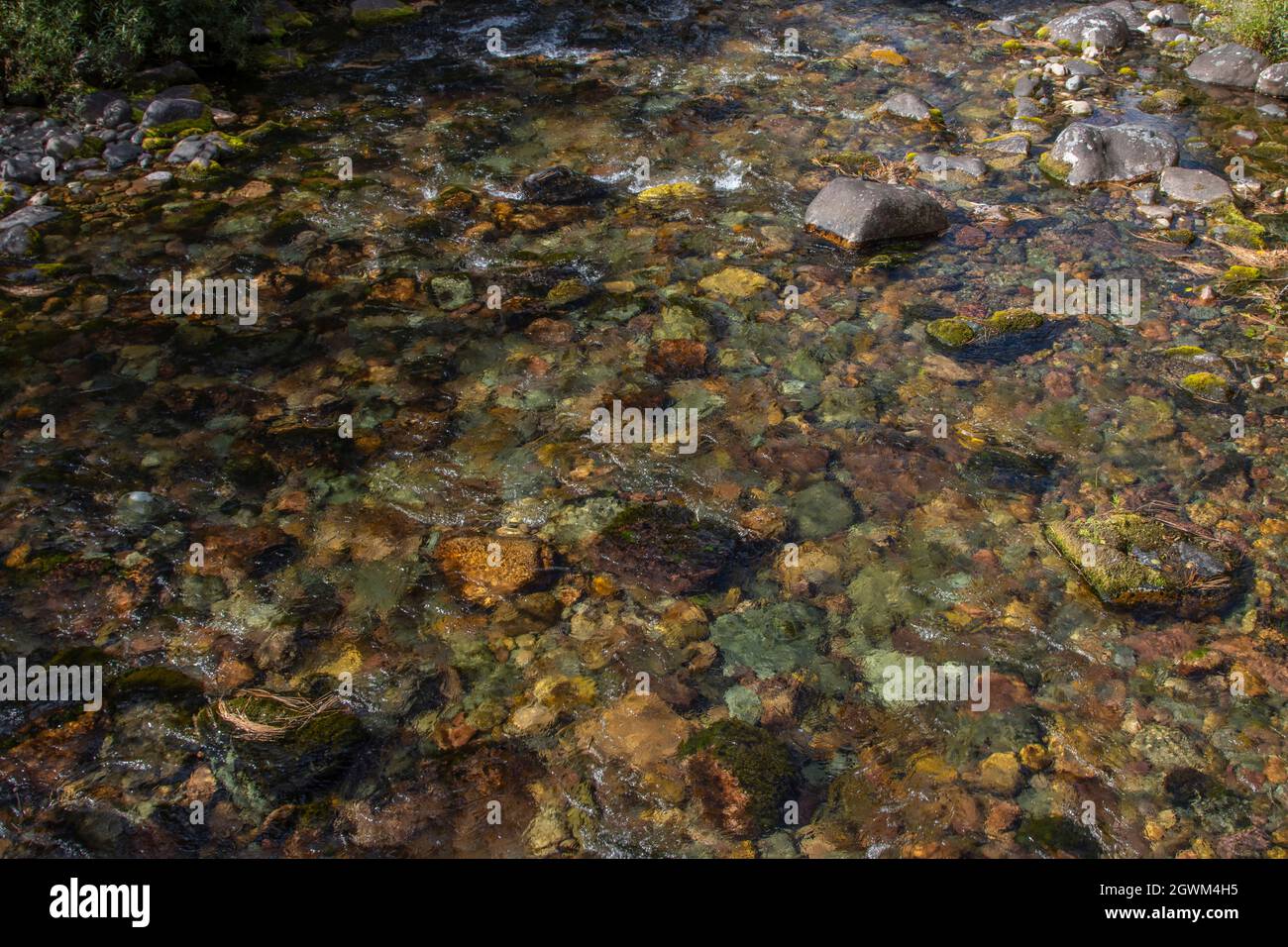 Acqua chiara e pulita che scorre nel Rattlesnake Creek a Missoula, Montana Foto Stock