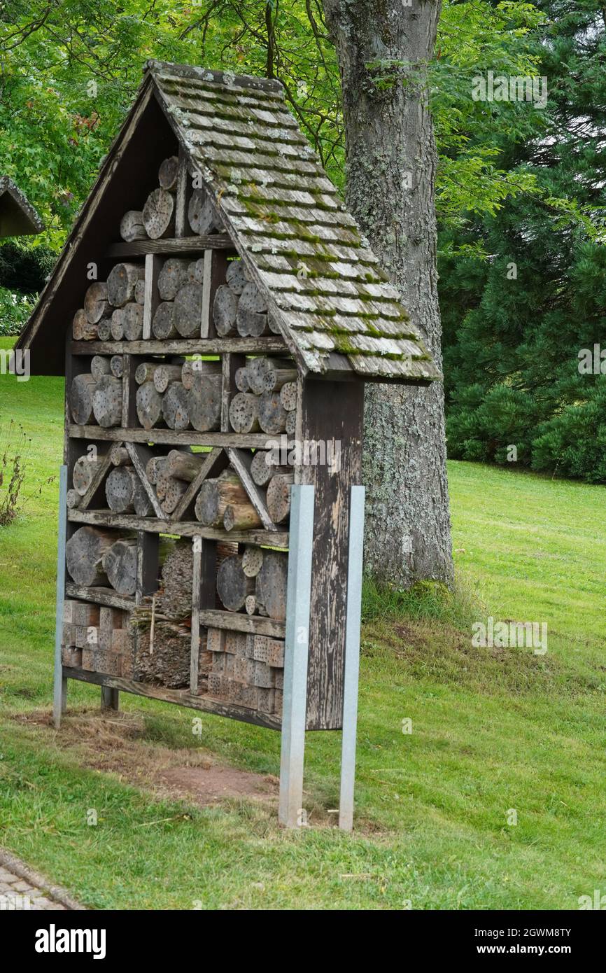 Un colpo verticale di una casa d'hotel di insetto fatta a mano nel giardino Foto Stock