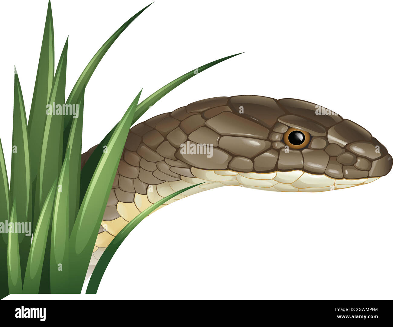 Serpente selvaggio dietro il cespuglio Illustrazione Vettoriale