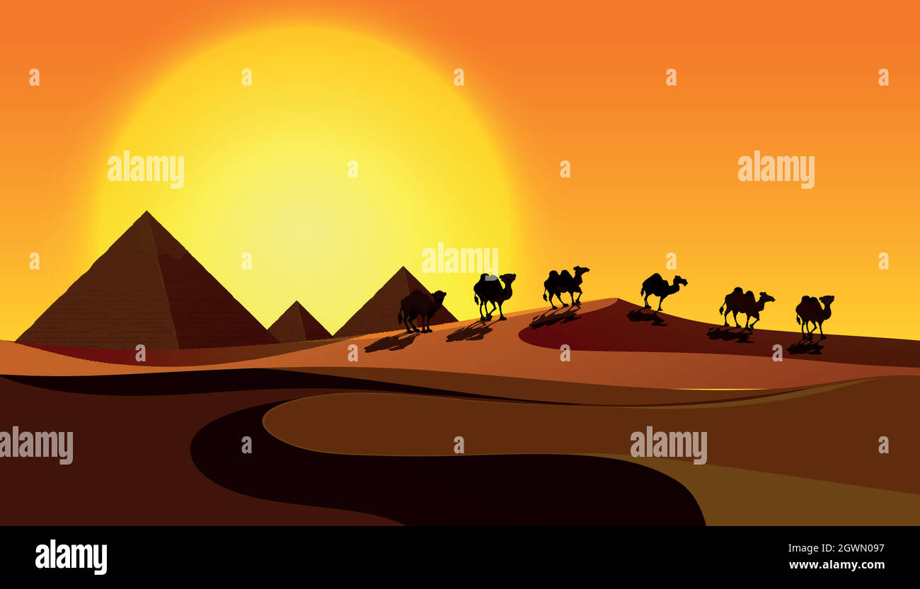 Cammelli silhouette in Desert Scene Illustrazione Vettoriale