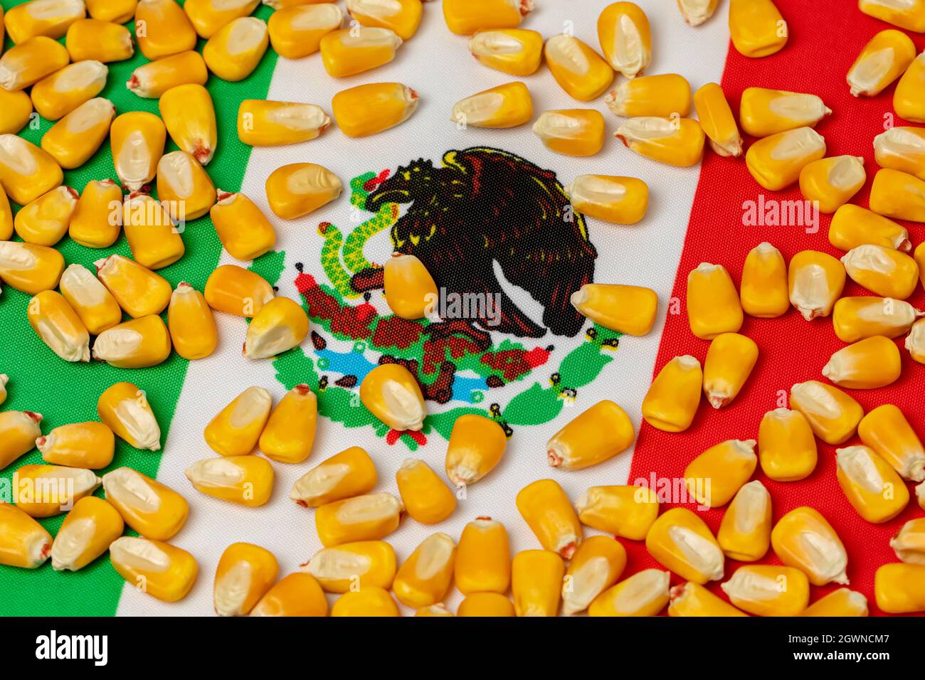 Bandiera del Messico e chicchi di mais. Accordo sul commercio agricolo, concetto di importazioni ed esportazioni. Foto Stock