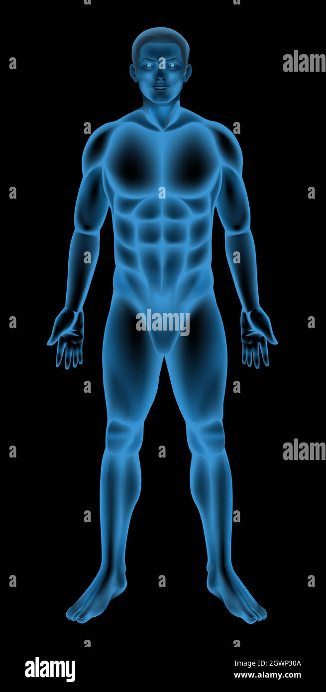 Corpo maschile Illustrazione Vettoriale