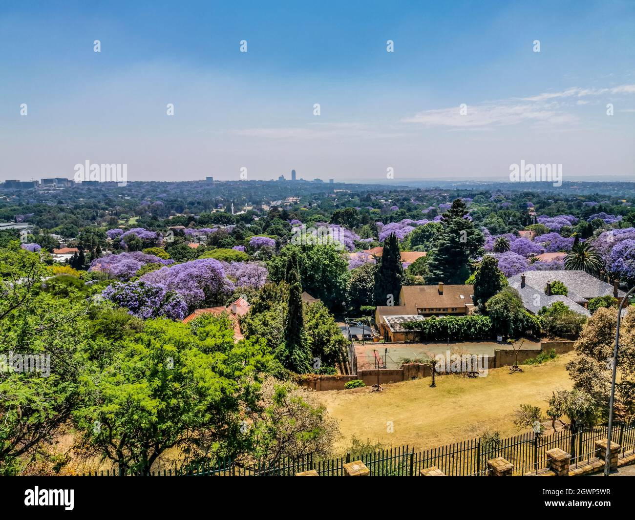 Veduta aerea di Johannesburg , la più grande foresta urbana durante la primavera - Jacaranda fiorente in ottobre in Sudafrica Foto Stock