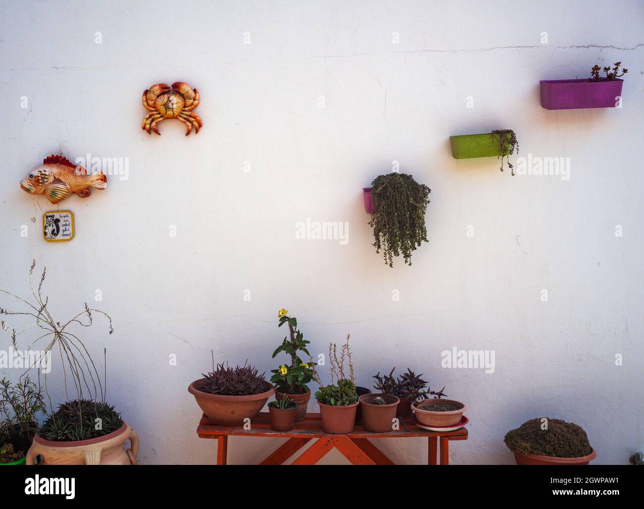 Vasi di fiori appesi su un muro imbiancato, linosa Foto Stock