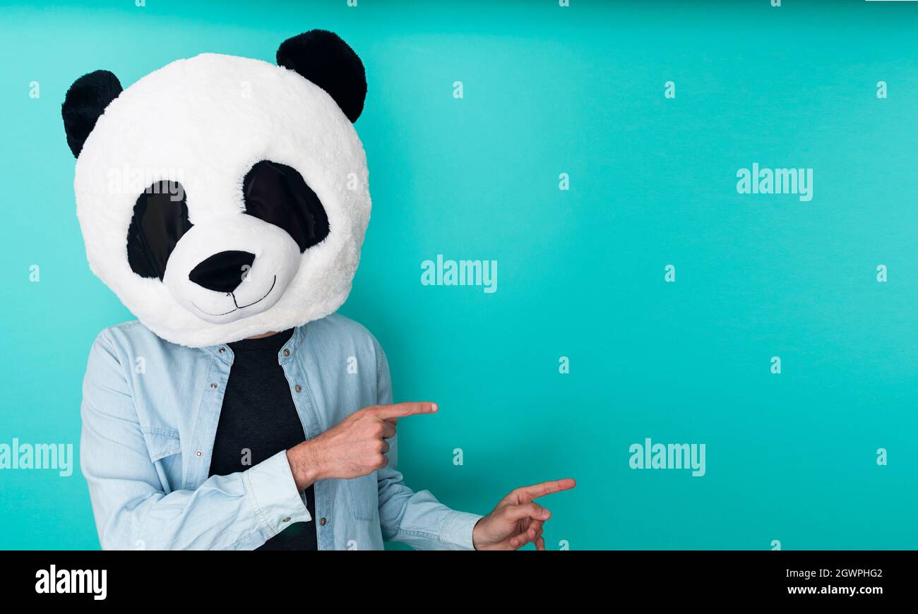 Uomo divertente in maschera panda puntando le dita verso il lato su sfondo acquamarina Foto Stock