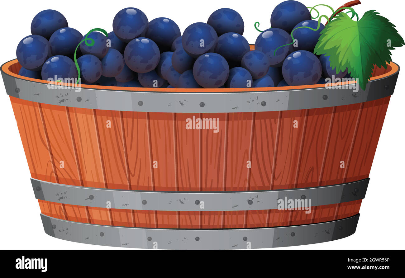 Una vite di uva in bucket Illustrazione Vettoriale