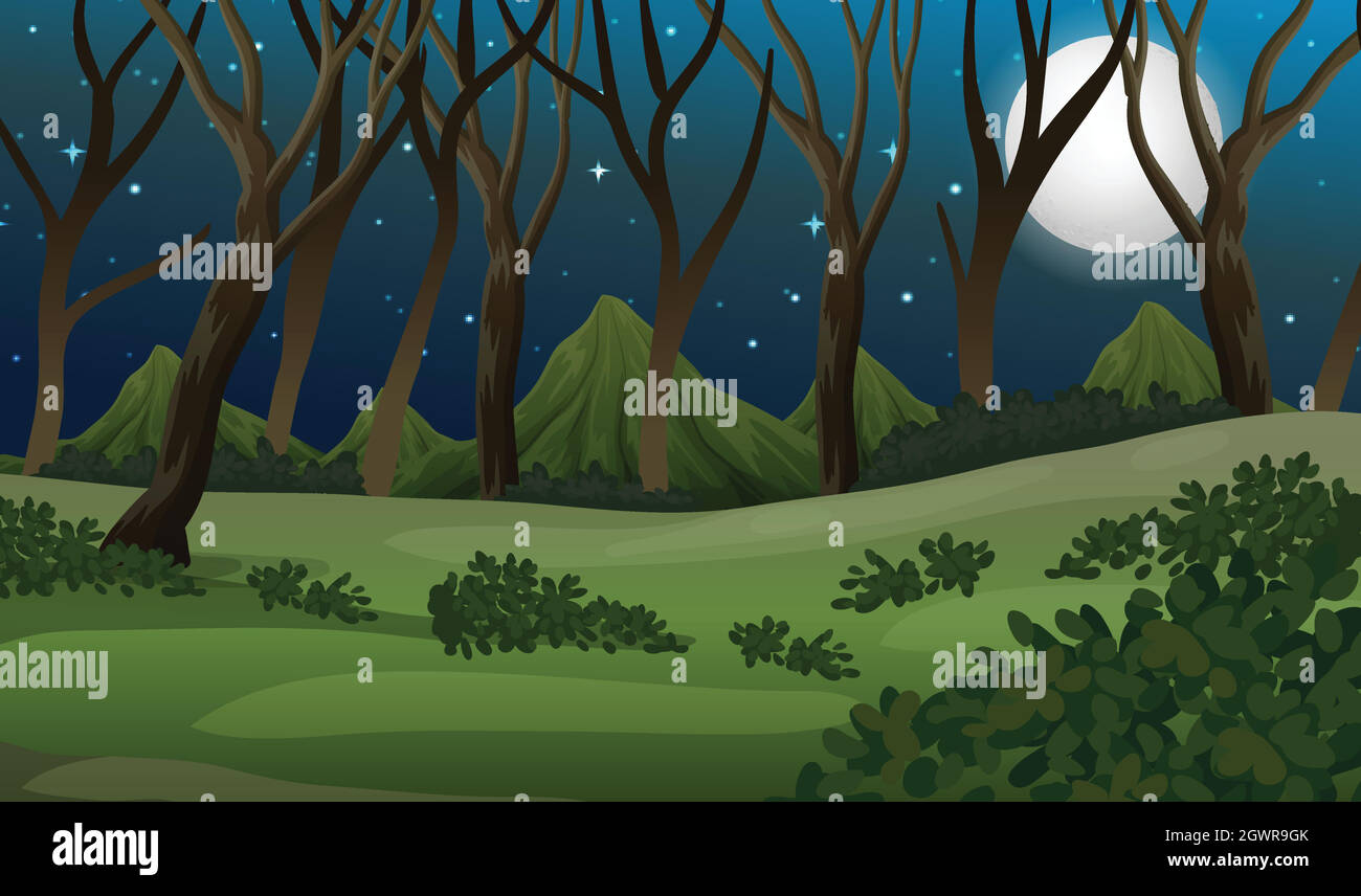 Una foresta nella notte buia Illustrazione Vettoriale