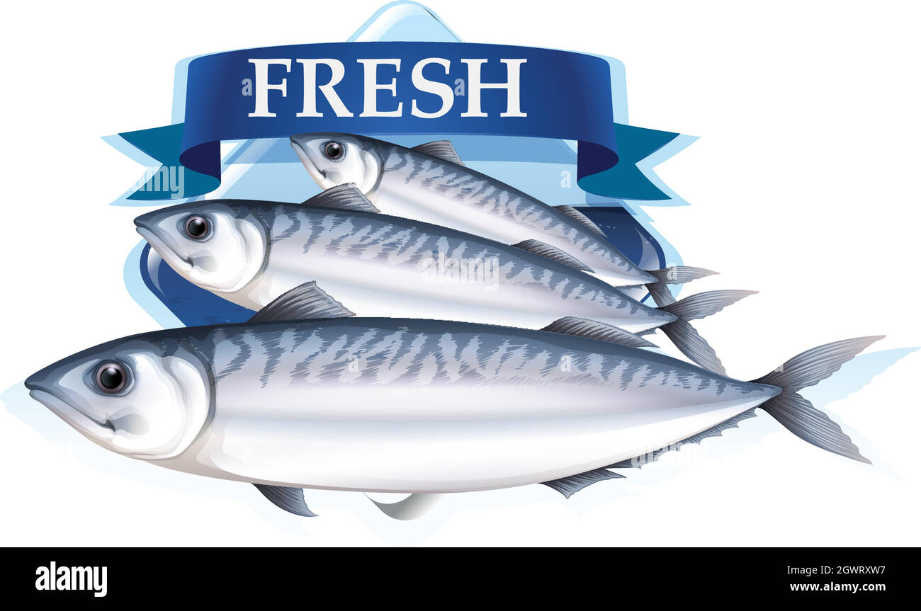 Sardine fresche con testo Illustrazione Vettoriale