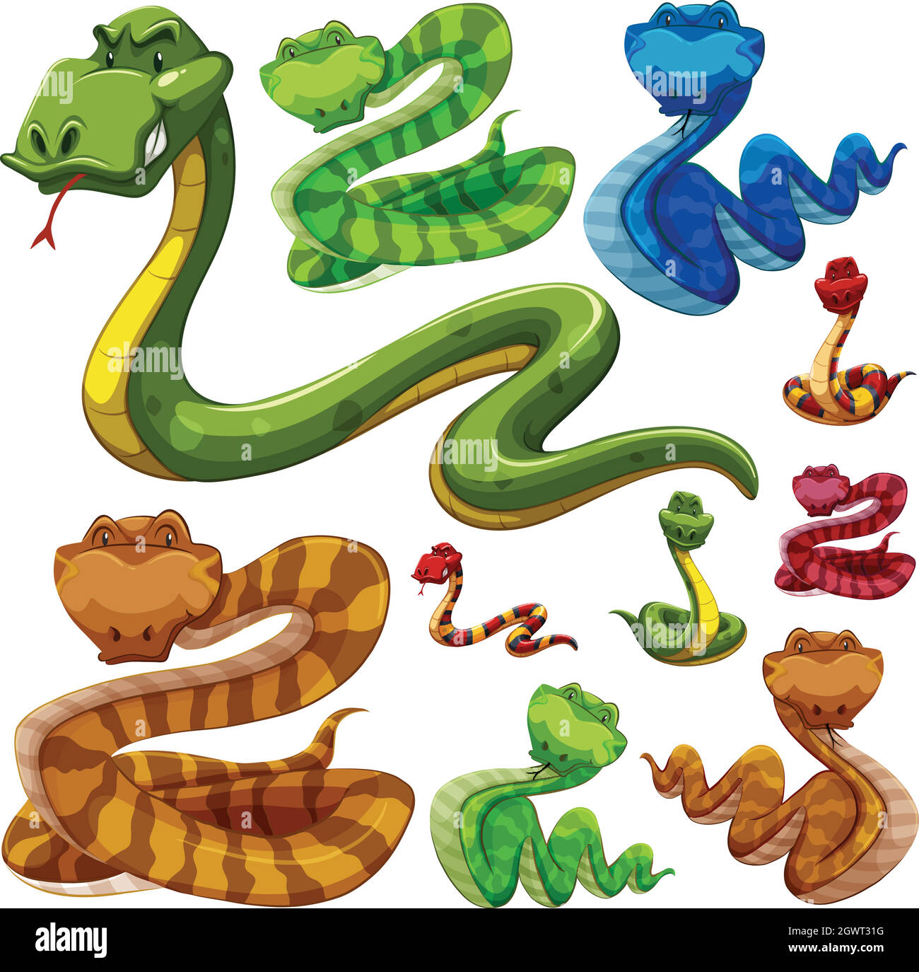 Set di diversi tipi di serpenti Illustrazione Vettoriale