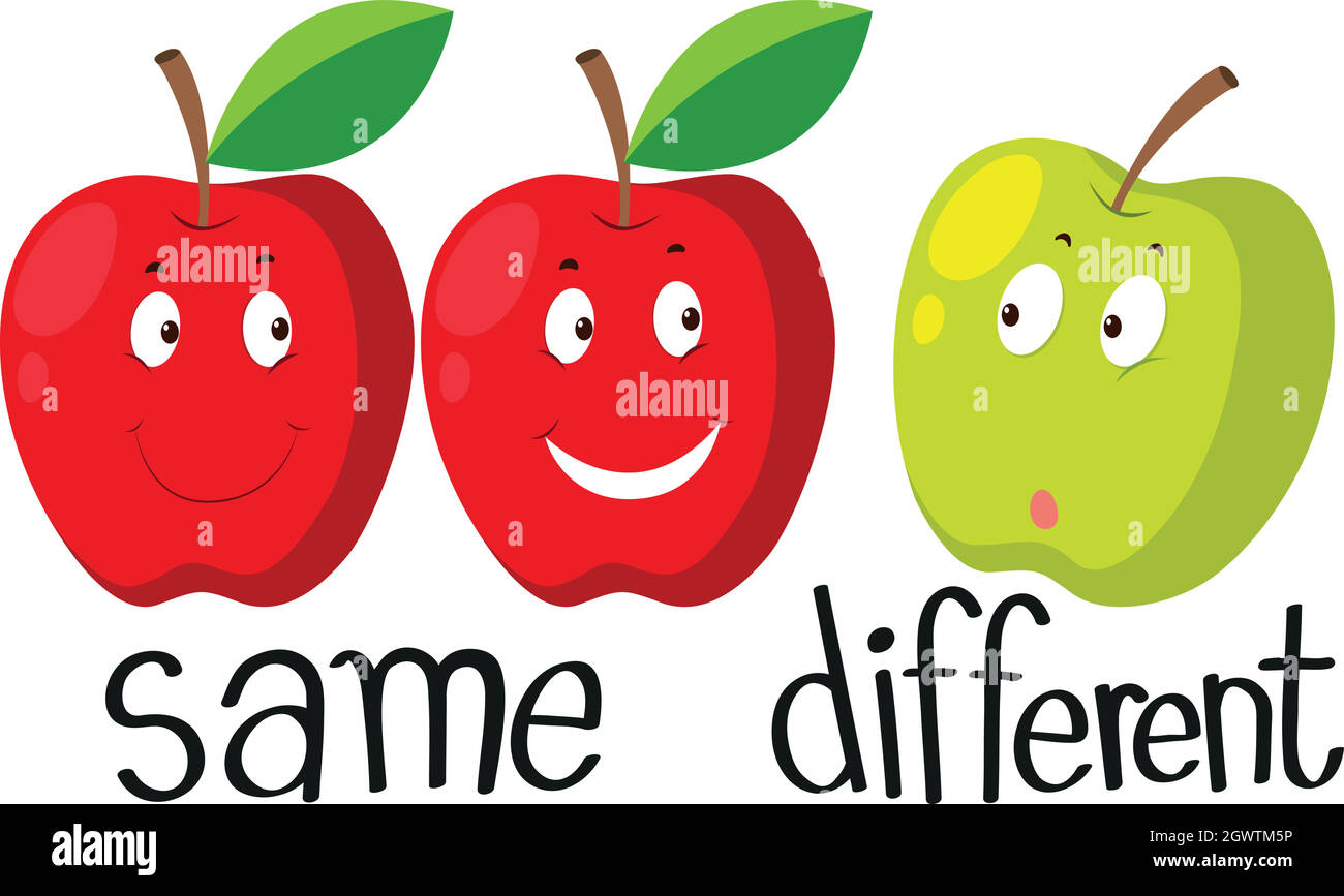 Aggettivi opposti con uguale e diverso Illustrazione Vettoriale
