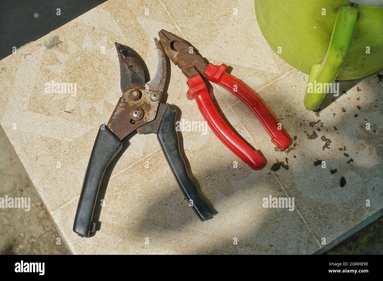 utensili da taglio per piante e pinze rosse Foto Stock