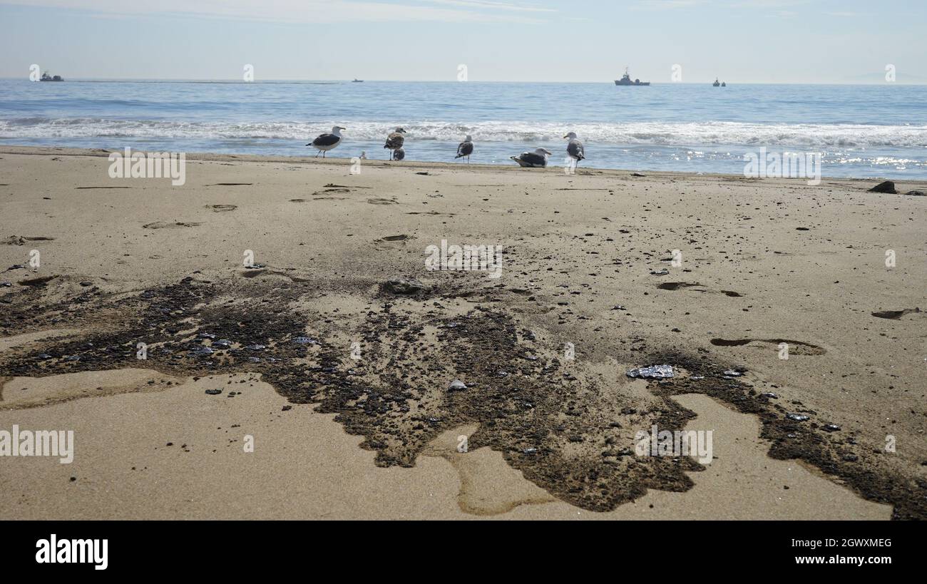 California, California, Stati Uniti. 3 ottobre 2021. Oil macchia la spiaggia di Huntington in Orange County, California, 3 ottobre 2021. Una massiccia fuoriuscita di petrolio al largo della costa della contea di Orange nella California meridionale ha provocato la chiusura di un'area di 9 chilometri sul lungomare il 3 ottobre, e gli equipaggi del California Department of Fish and Wildlife (CDFW) stanno ripulendo l'inquinamento dalle strutture nelle acque federali. Credit: Zeng Hui/Xinhua/Alamy Live News Foto Stock