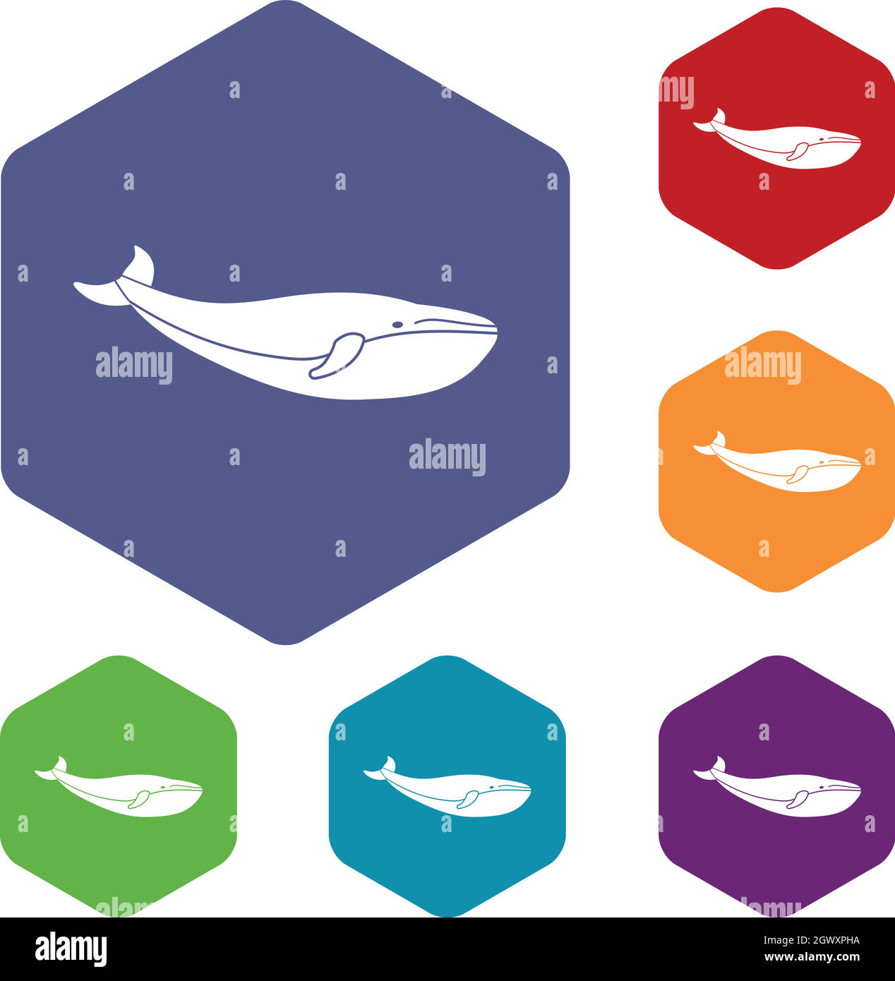 Set di icone di balena Illustrazione Vettoriale