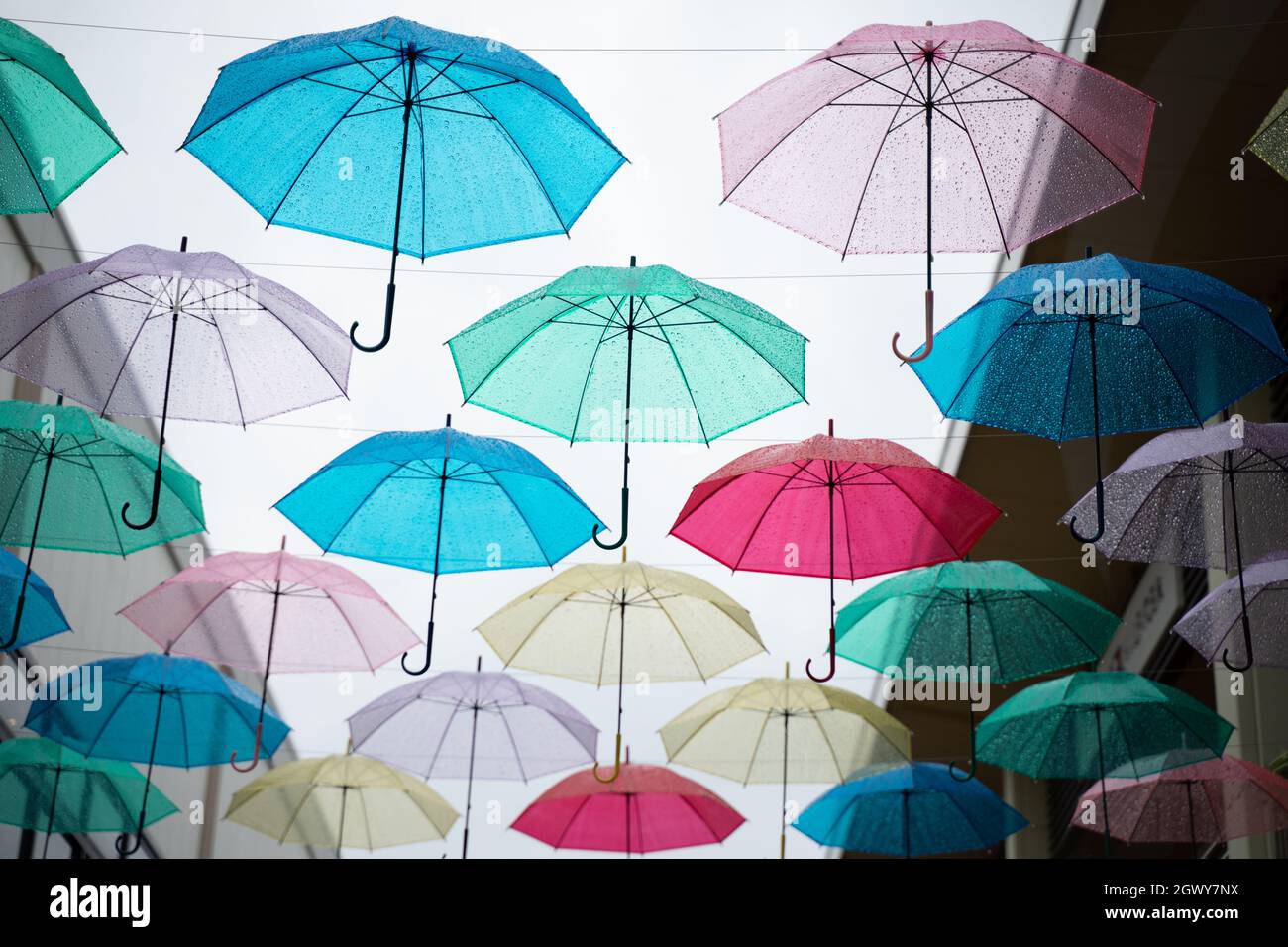 Ombrelloni multicolore contro Blue Sky Foto Stock