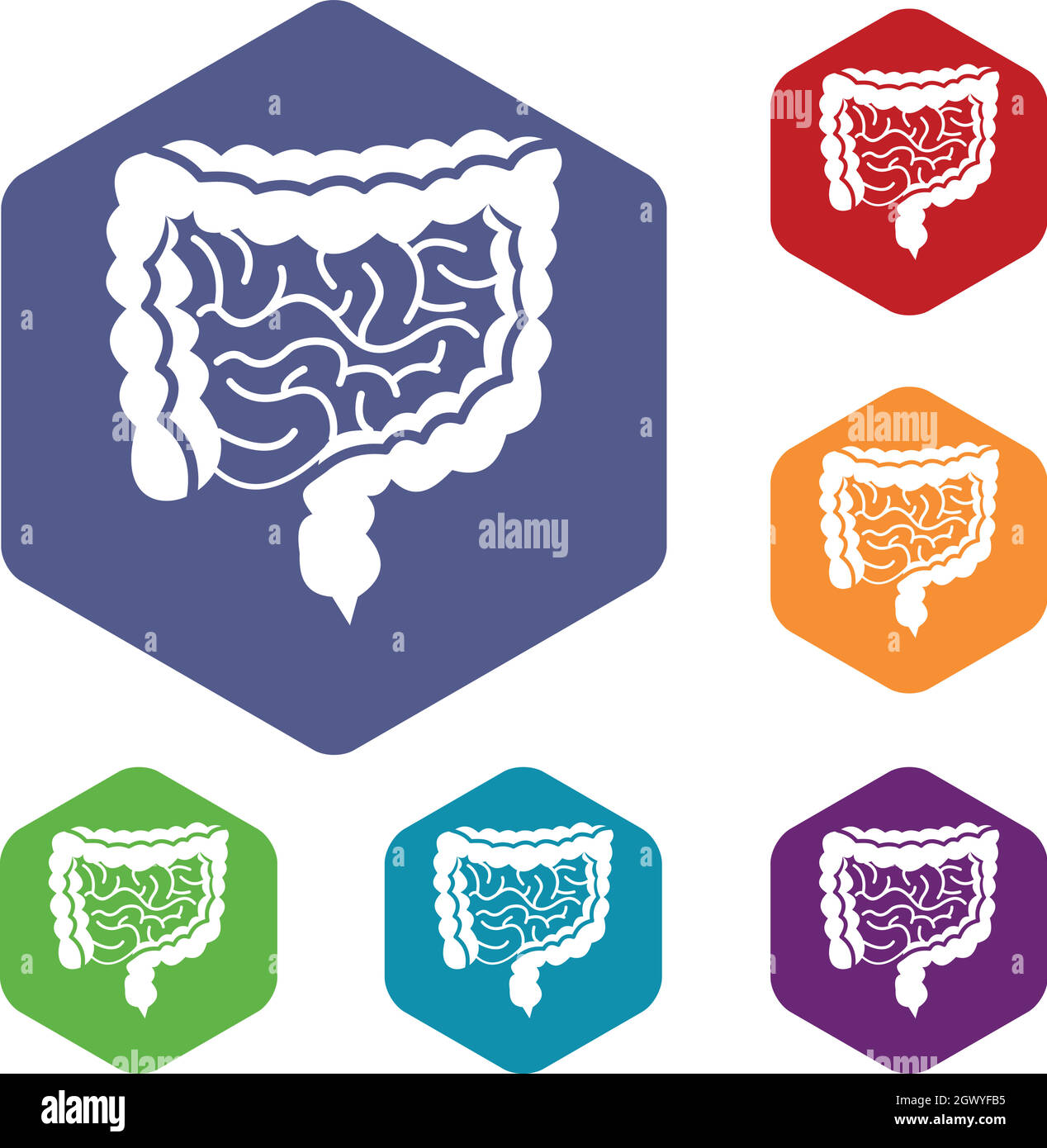 Intestini di set di icone Illustrazione Vettoriale