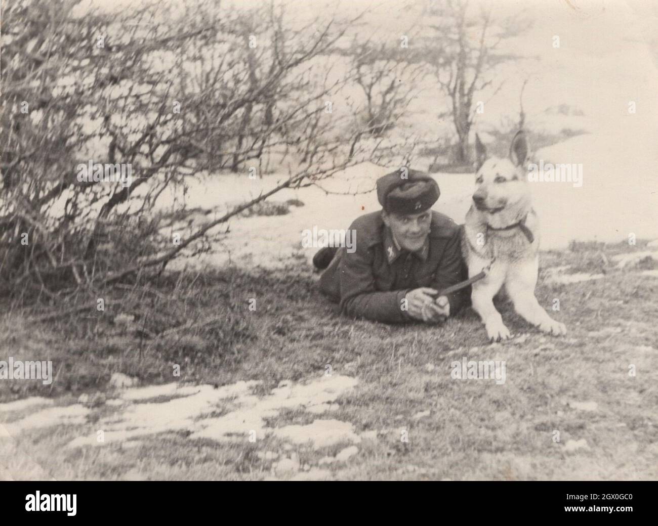 vintage / retro Army / militare tedesco cane pastore serie 2. Un soldato sta posando con il suo cane (Pastore tedesco) sul campo intorno agli anni '50. Egli proviene dall'Europa orientale, forse dall'Ungheria. Fonte: Fotografia originale Foto Stock