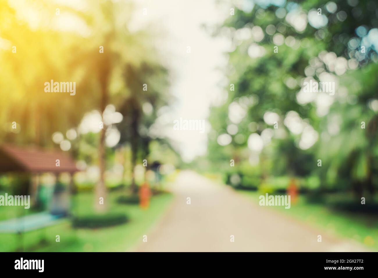 bokeh sfocato e sfondo sfocato di alberi da giardino alla luce del sole con tonalità vintage. Foto Stock