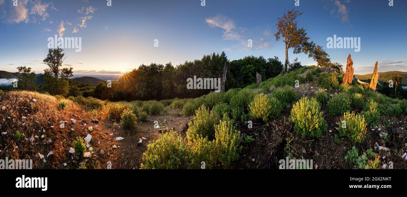 Panorama paesaggio con vette di montagna illuminate, cielo roccioso e sole giallo tramonto Foto Stock