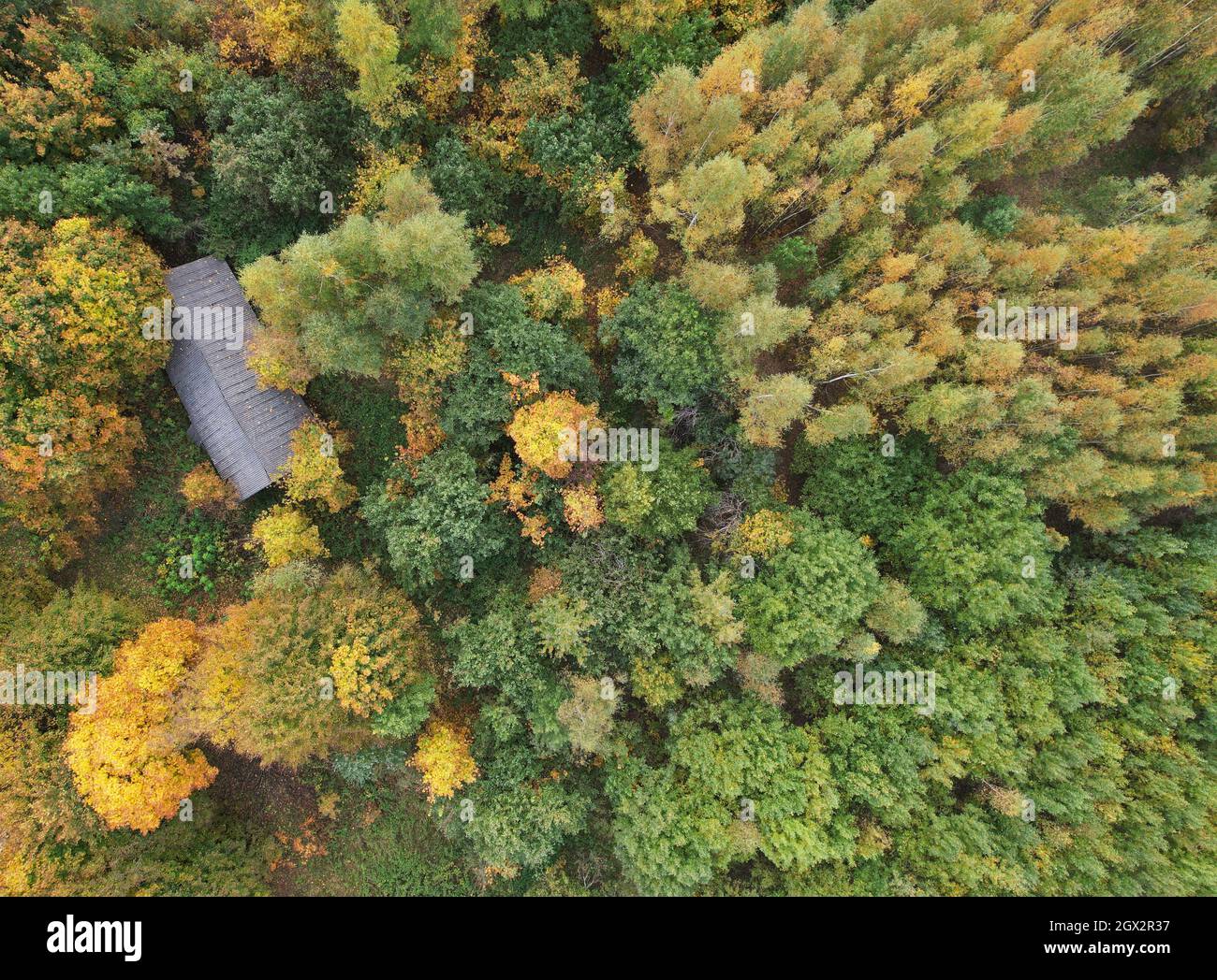 Zona rurale in autunno tempo aereo drone vista dall'alto Foto Stock