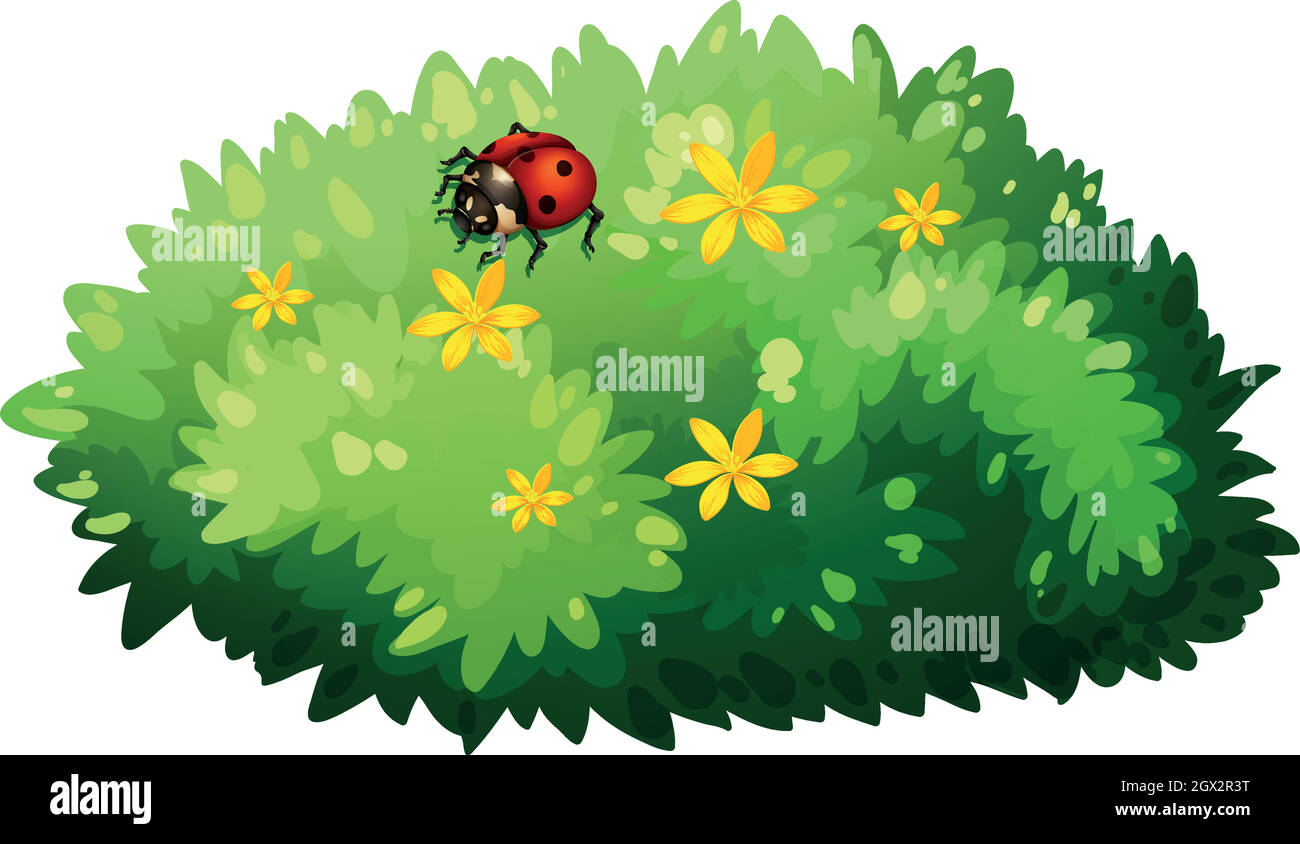 Natura disegno con cespuglio e bug Illustrazione Vettoriale