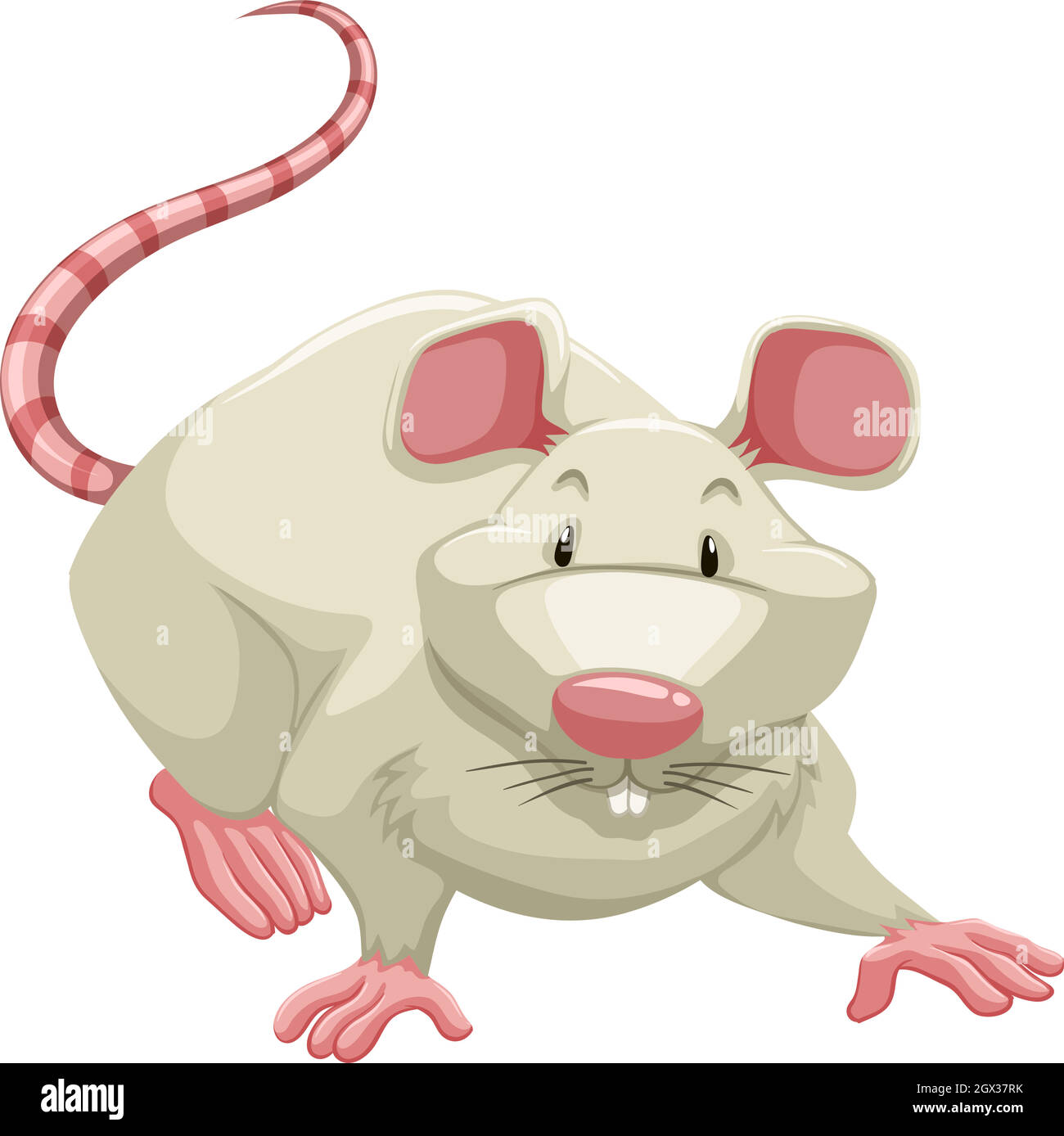 Ratto bianco Illustrazione Vettoriale