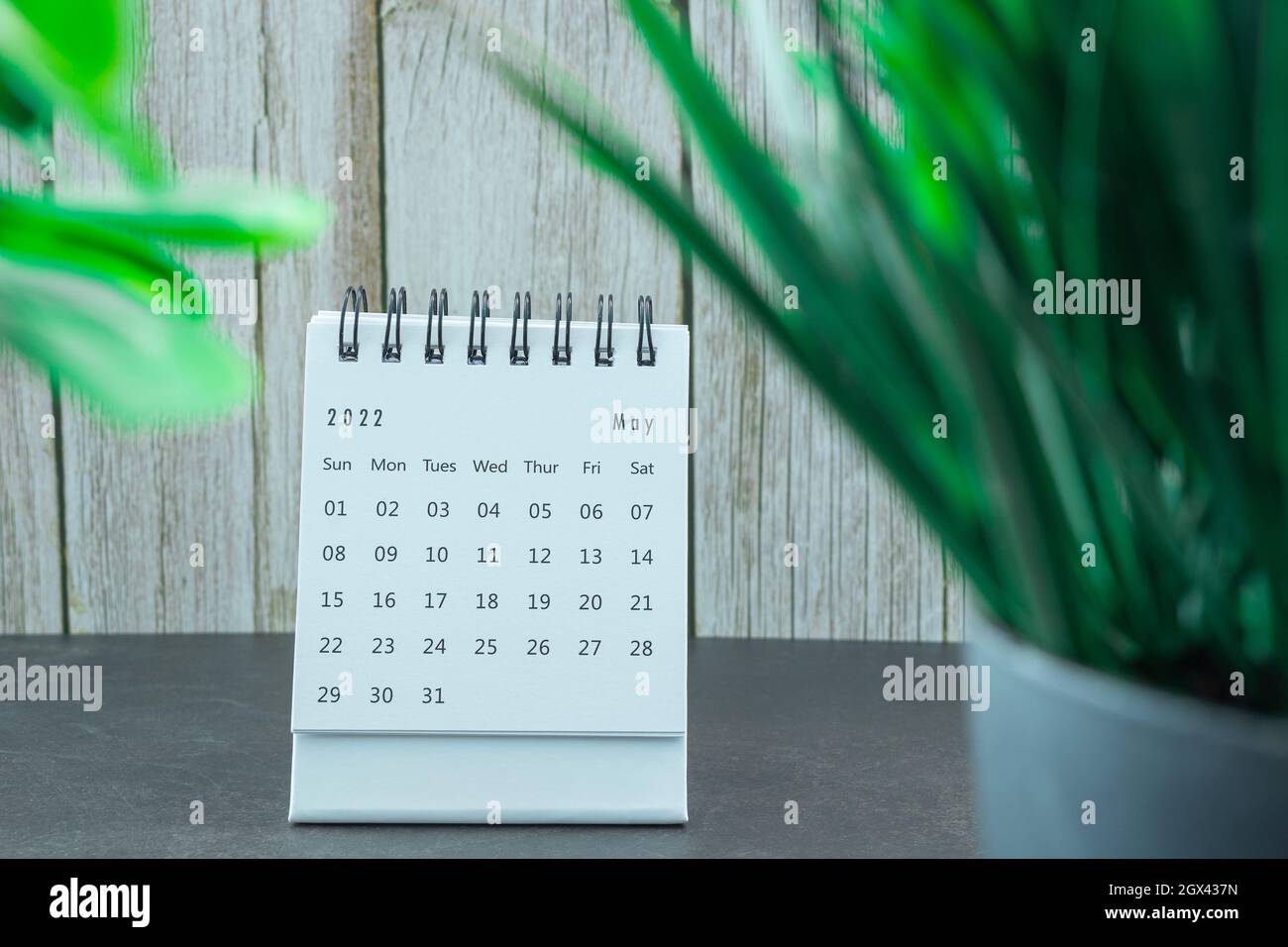 Calendario bianco del maggio 2022 con pianta in vaso su una scrivania. Concetto di Capodanno 2022 Foto Stock