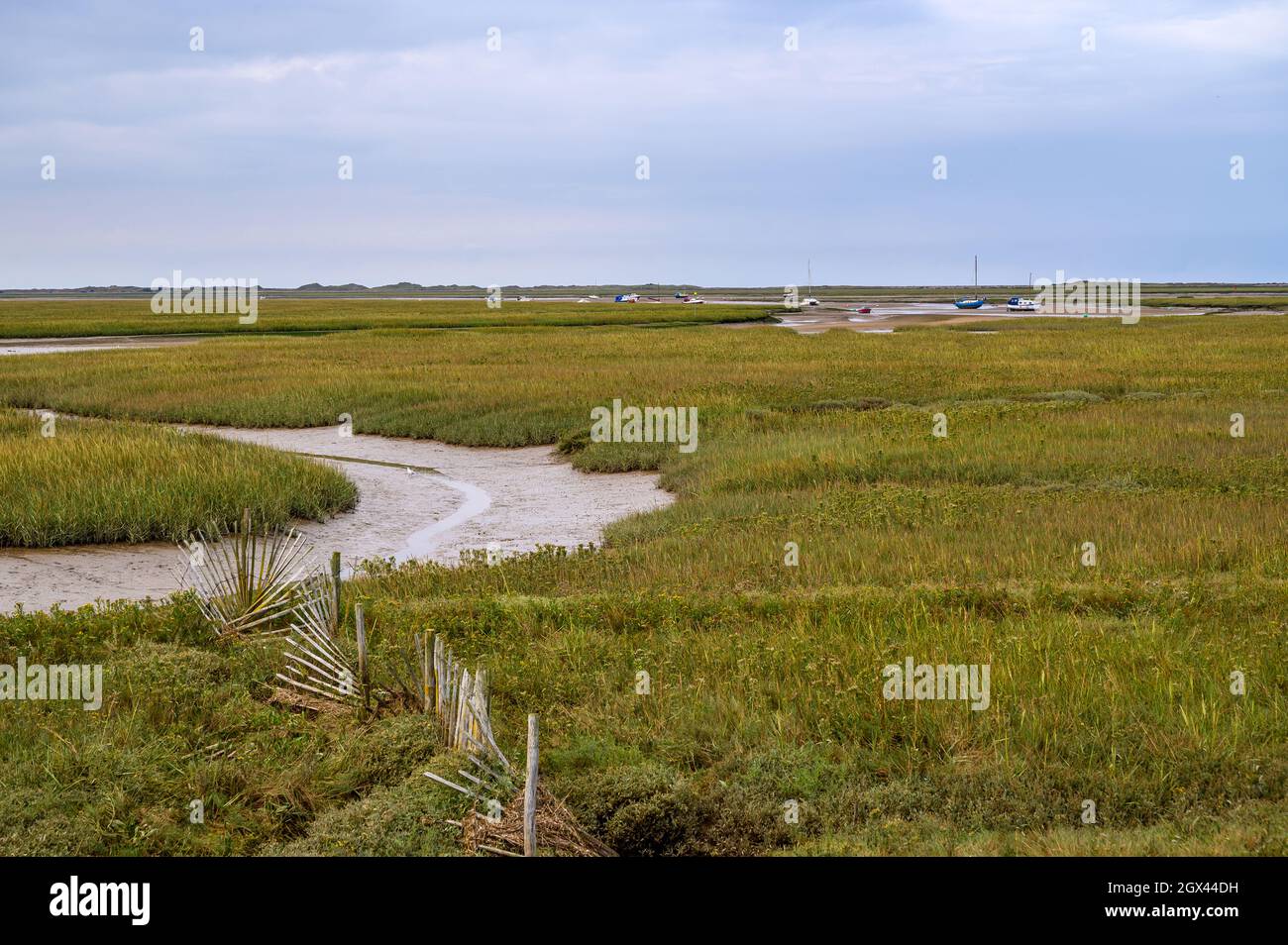 Barche per il tempo libero ormeggiate sul fiume Glaven a bassa marea nella Riserva Naturale di Blakeney, Norfolk, Inghilterra. Foto Stock