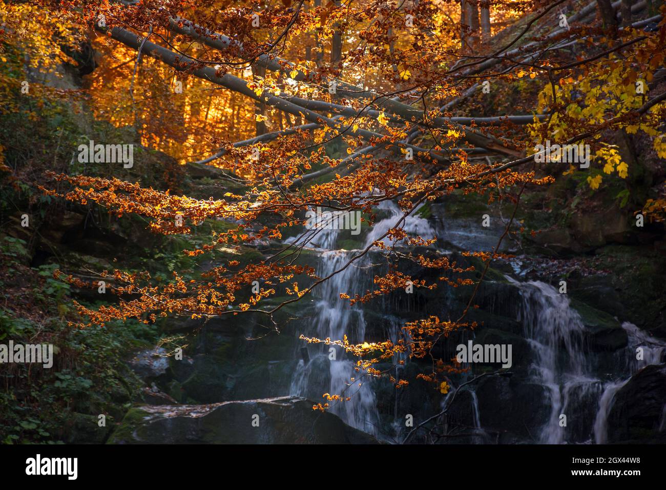 cascata di shypot tra la roccia nella luce della sera. bellissimo paesaggio naturale autunnale nella foresta. vegetazione bagnata sulle pietre. popolare viaggio destinati Foto Stock