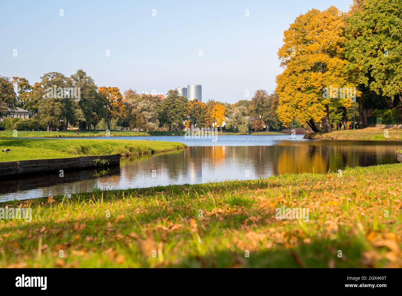 Colorfull autunno in un parco pubblico di riga, Lettonia. Foto Stock