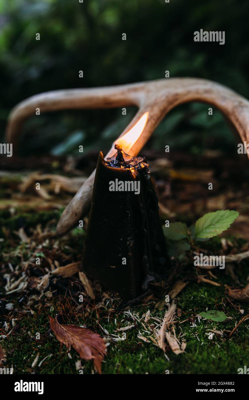 Concetto occulto, esoterico, divinazione e wicca. Halloween sfondo vintage Foto Stock