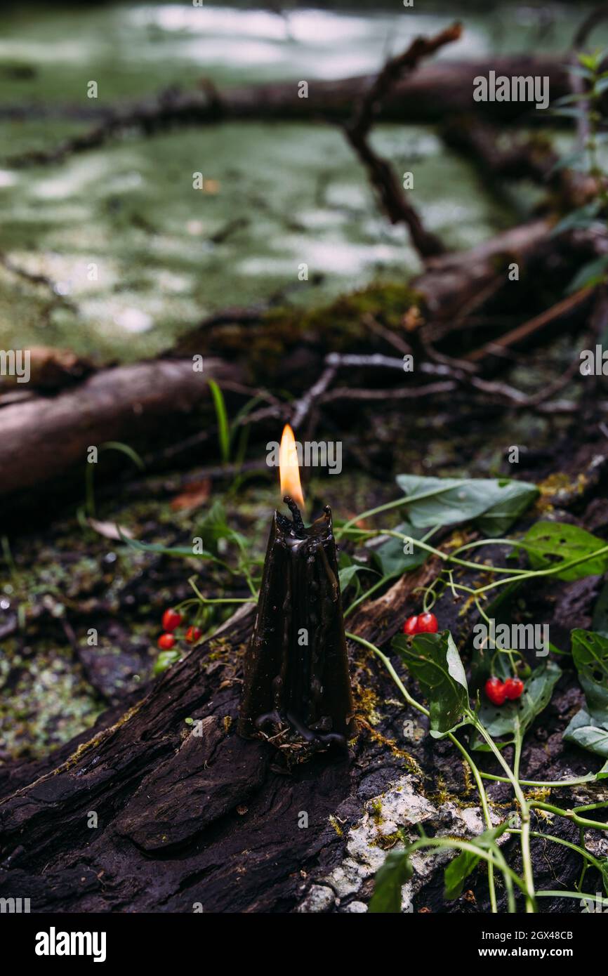 Concetto occulto, esoterico, divinazione e wicca. Halloween sfondo vintage Foto Stock