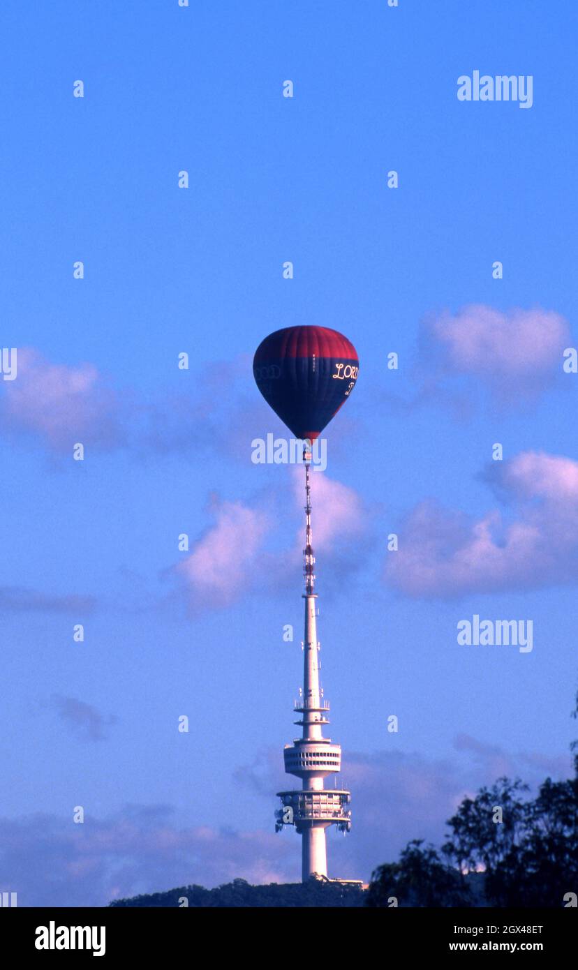 Una mongolfiera vola direttamente sopra la Telstra Tower sulla Black Mountain durante la spettacolare mongolfiera di Canberra che si tiene annualmente. AGIRE. Foto Stock