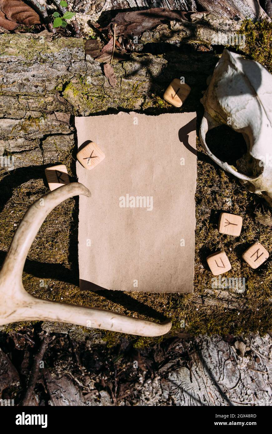 Modello di mockup di carta artigianale sullo sfondo della natura magica foresta Foto Stock