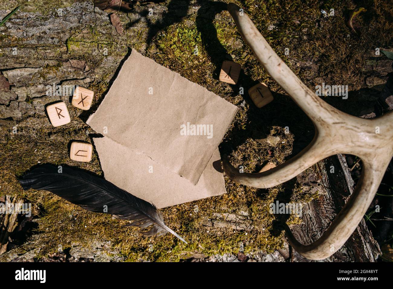 Modello di mockup di carta artigianale sullo sfondo della natura magica foresta Foto Stock